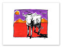 Bull in Desert