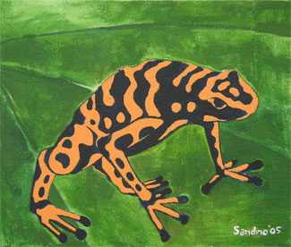 Poison Dart Frog