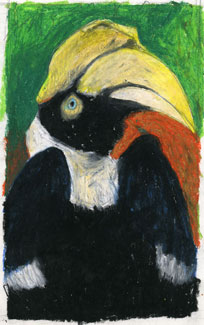 Tucan 1